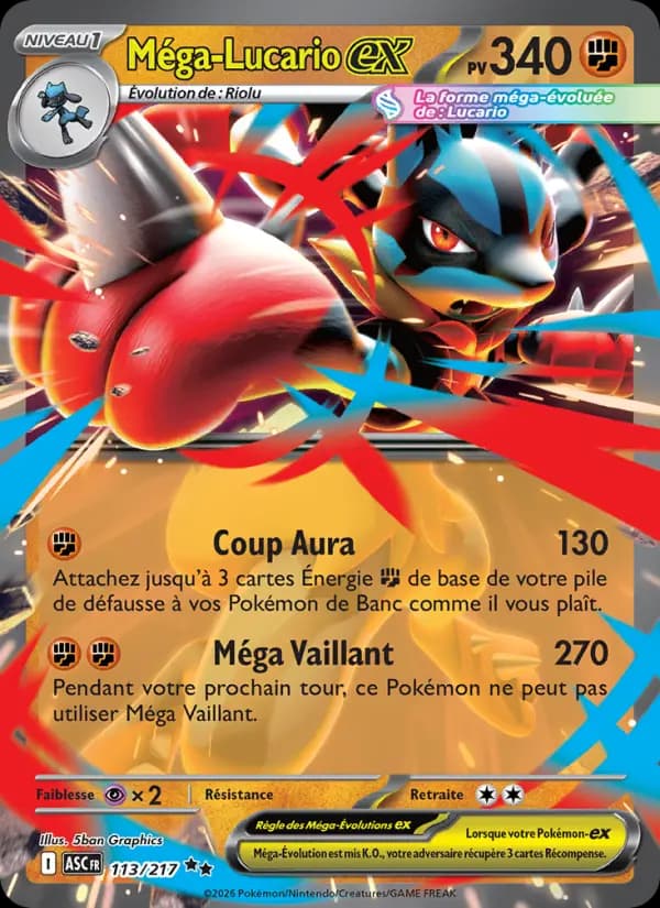 Carte Pokémon Méga-Lucario ex 113