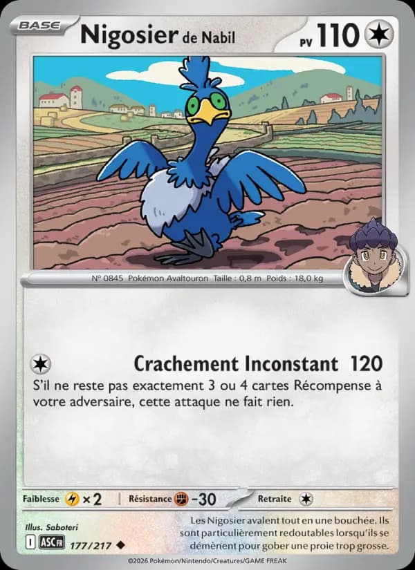 Carte Pokémon Nigosier de Nabil 177