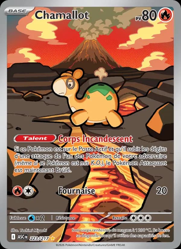 Carte Pokémon Chamallot 223