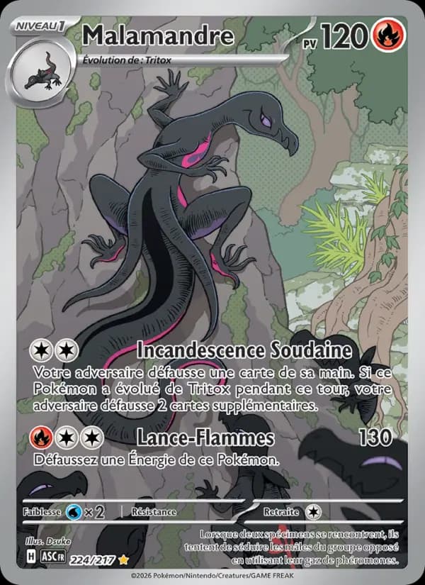 Carte Pokémon Malamandre 224