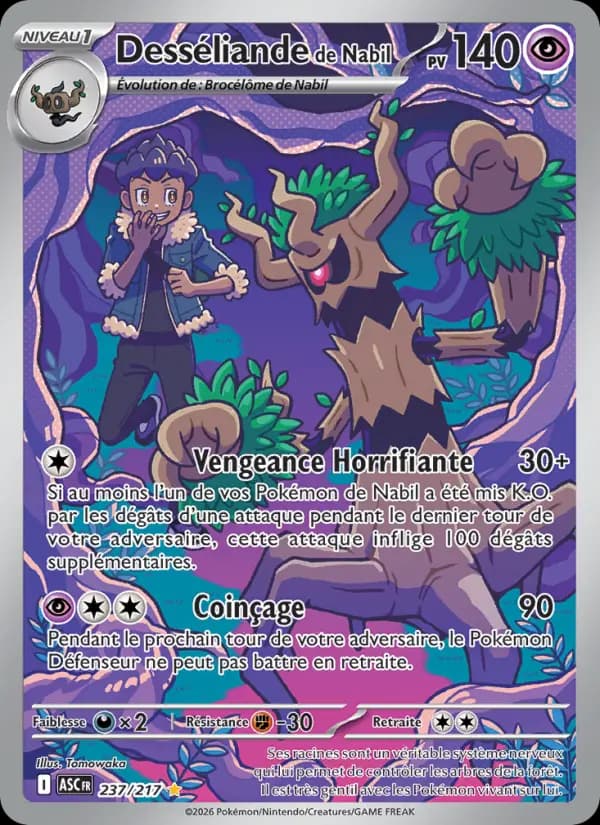 Carte Pokémon Desséliande de Nabil 237