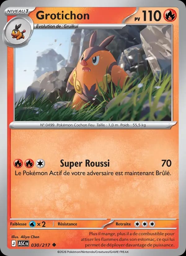 Carte Pokémon Grotichon 30