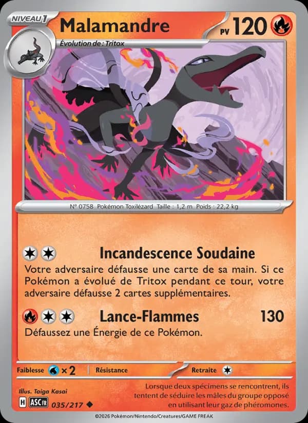 Carte Pokémon Malamandre 35