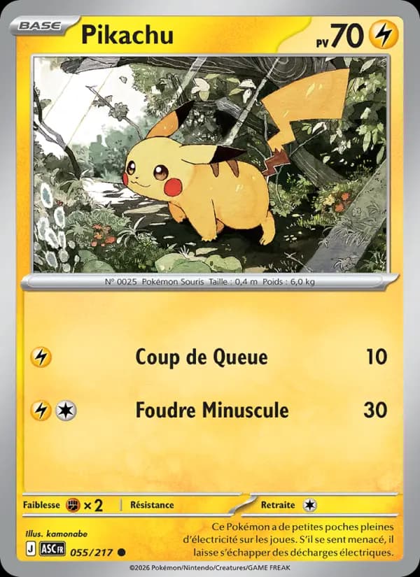 Carte Pokémon Pikachu 55