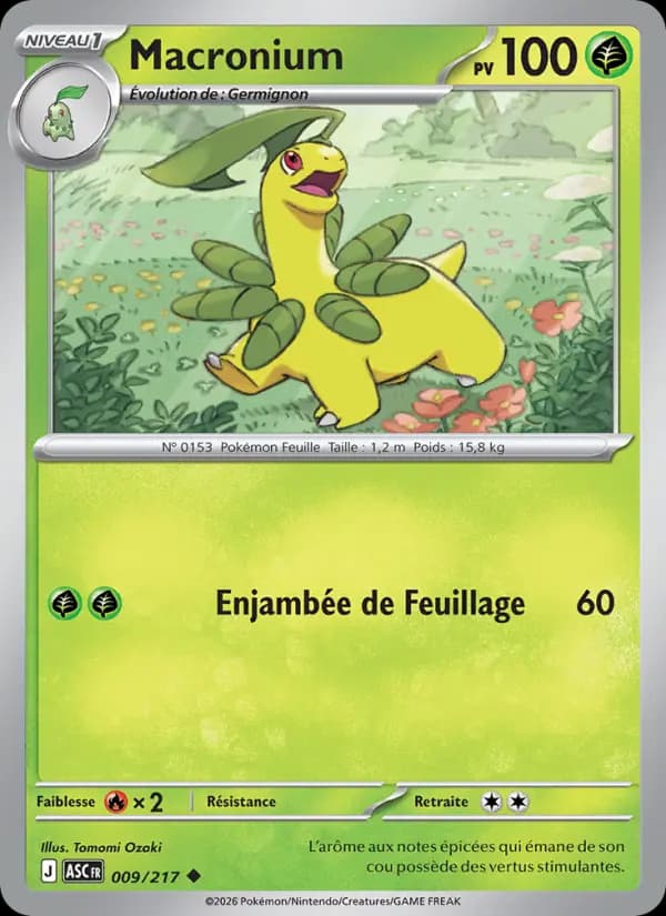 Carte Pokémon Macronium 9