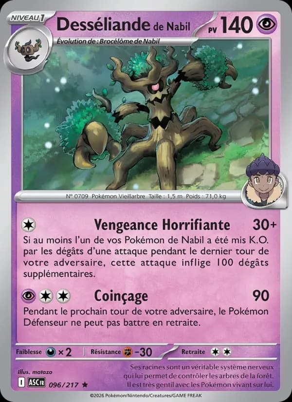 Carte Pokémon Desséliande de Nabil 96