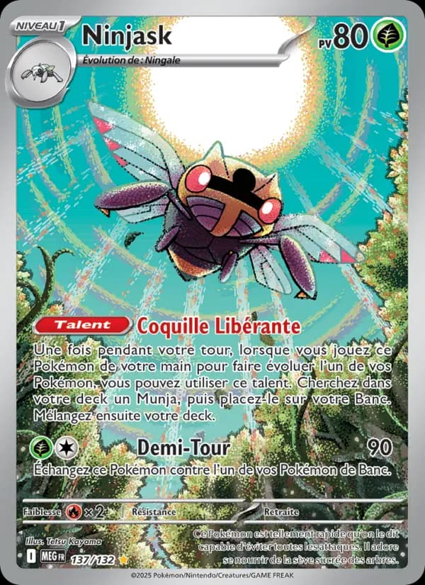 Carte Ninjask la plus chère