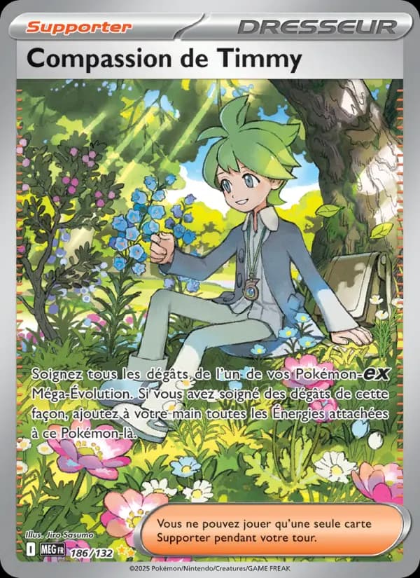 Carte Pokémon Compassion de Timmy 186 — Méga-Évolution