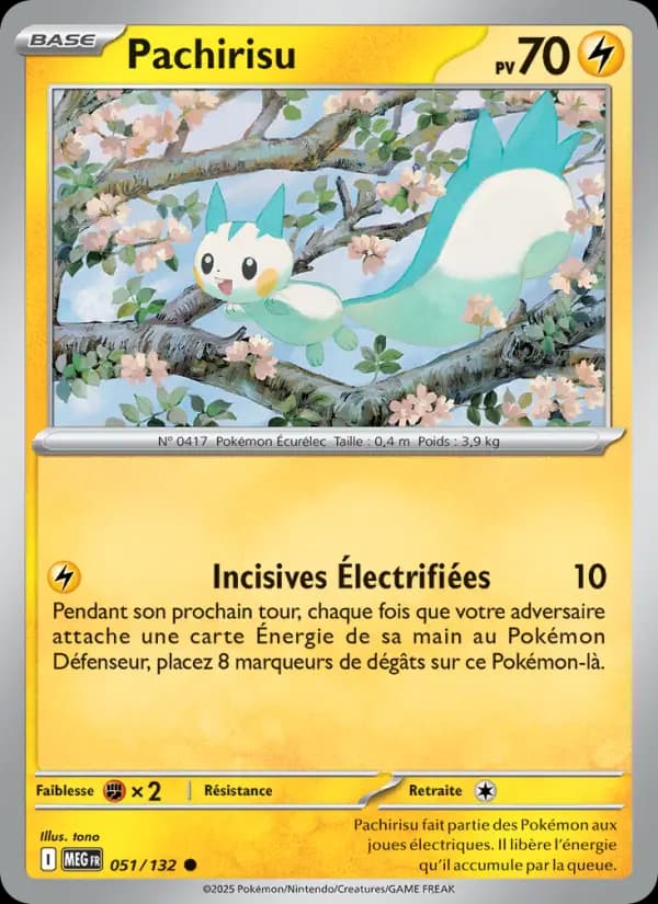 Carte Pachirisu la plus chère