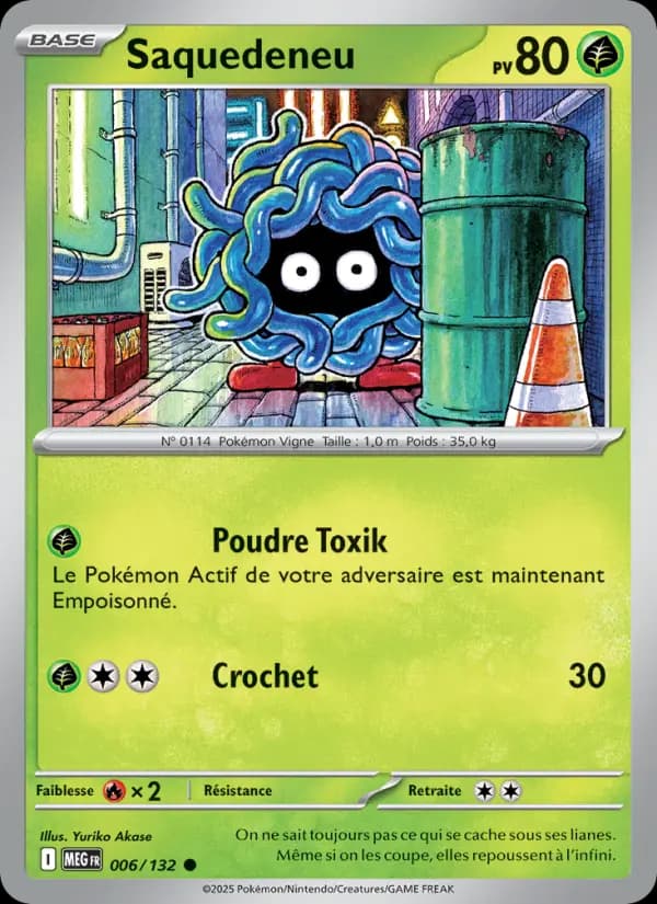 Carte Pokémon Saquedeneu 6