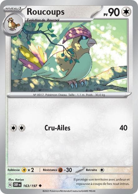 Carte Pokémon Roucoups 163