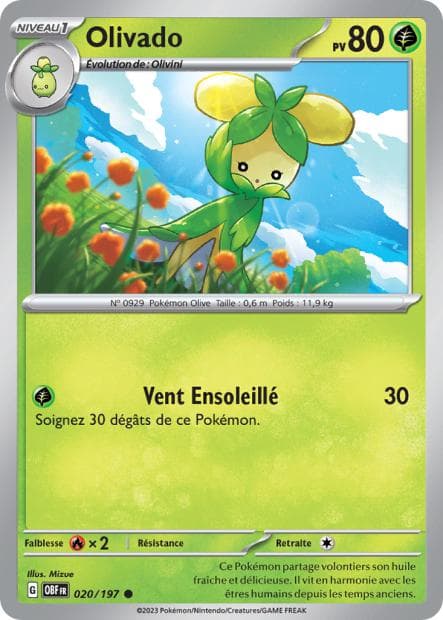 Carte Olivado la plus chère