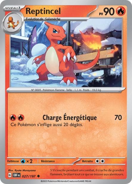 Carte Reptincel la plus chère