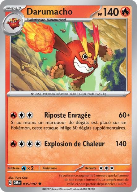 Carte Darumacho la plus chère