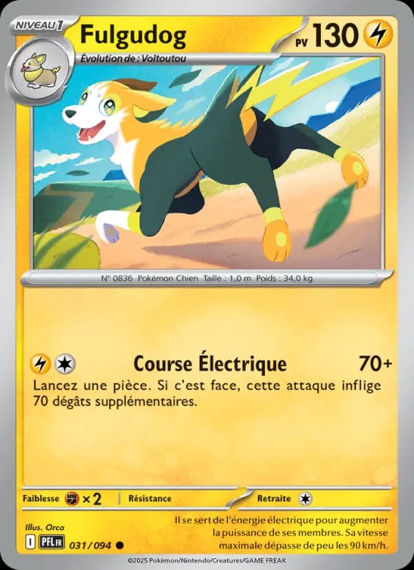 Carte Fulgudog la plus chère