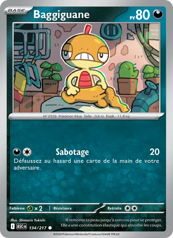 Carte Baggiguane du Pokémon Baggiguane