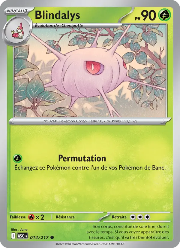 Carte Blindalys du Pokémon Blindalys