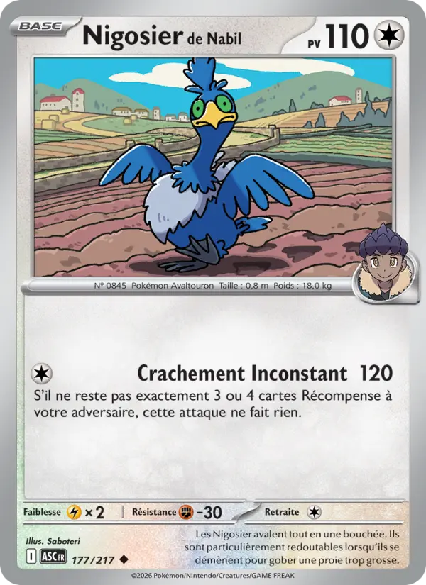 Carte Nigosier de Nabil du Pokémon Nigosier