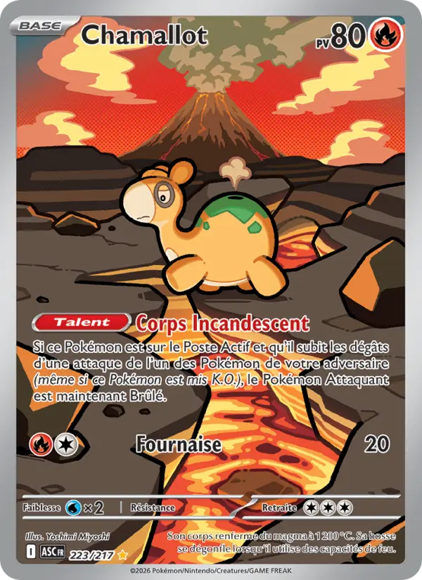 Carte Chamallot du Pokémon Chamallot