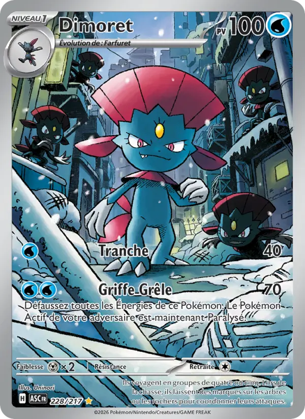 Carte Dimoret du Pokémon Dimoret