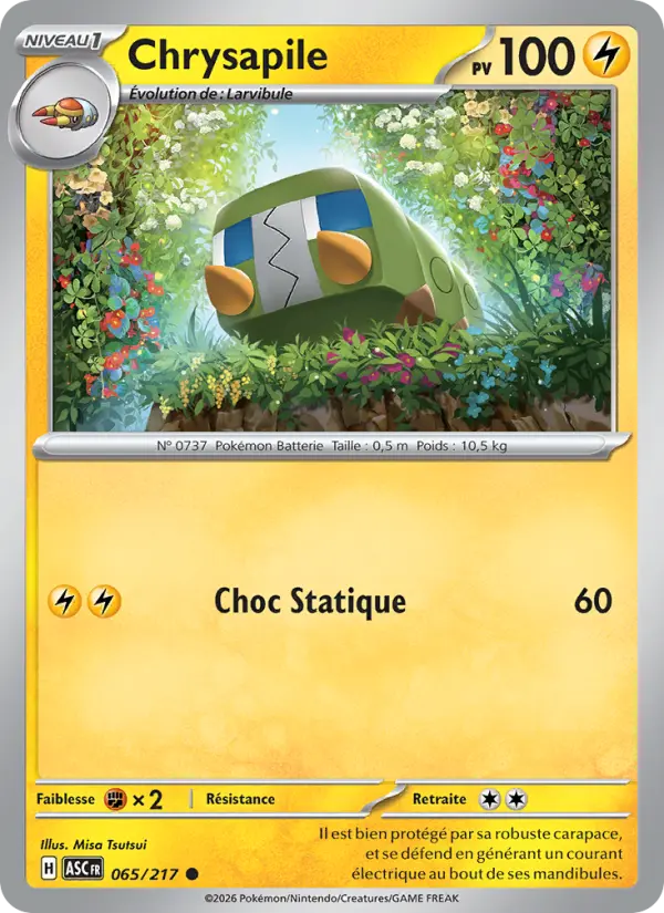 Carte Chrysapile du Pokémon Chrysapile