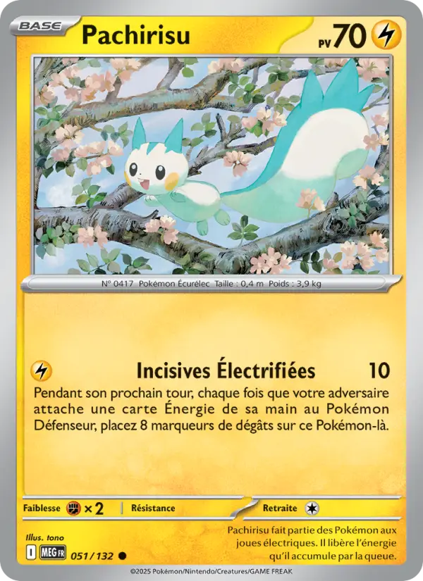 Carte Pachirisu du Pokémon Pachirisu
