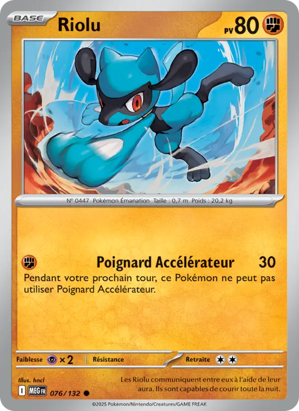 Carte Riolu du Pokémon Riolu