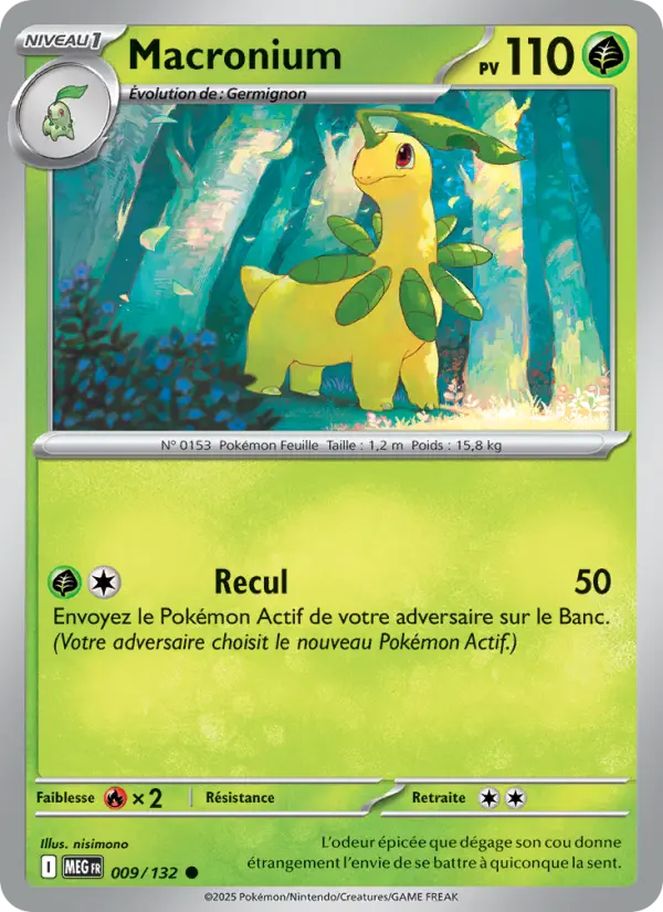 Carte Macronium du Pokémon Macronium