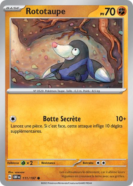 Carte Rototaupe du Pokémon Rototaupe