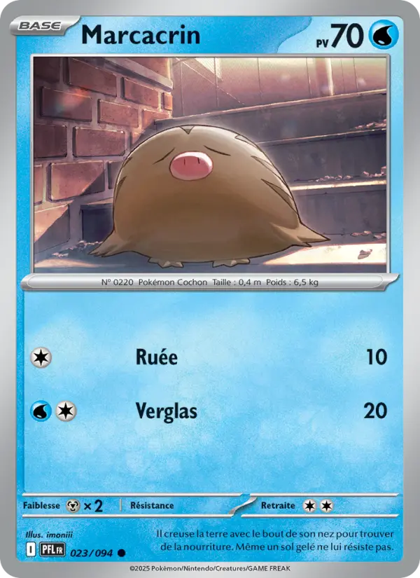 Carte Marcacrin du Pokémon Marcacrin
