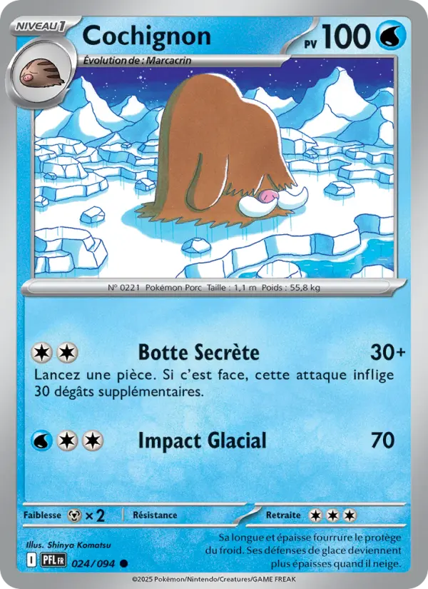 Carte Cochignon du Pokémon Cochignon