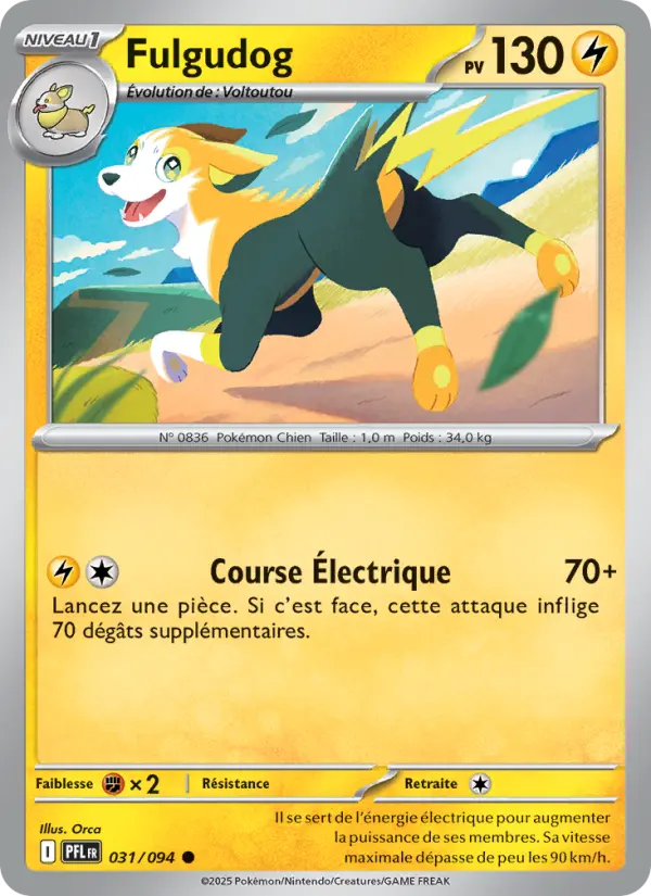 Carte Fulgudog du Pokémon Fulgudog
