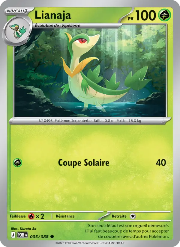Carte Lianaja du Pokémon Lianaja